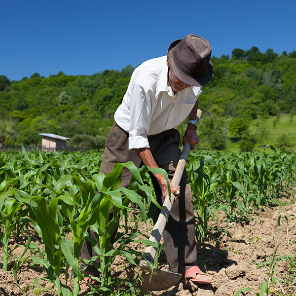 Blugaro - Produzione e vendita Prodotti Agricoli Siciliani